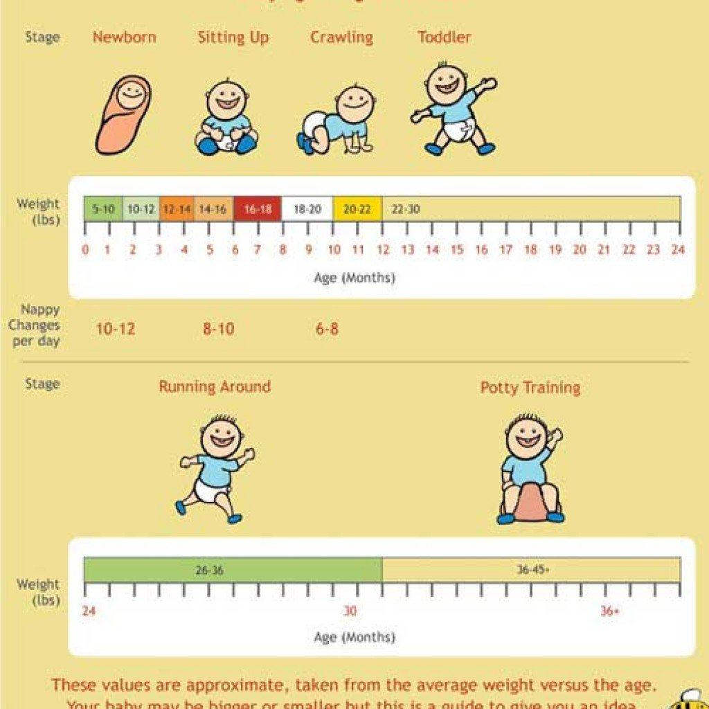 Baby Growth Chart Template Templates Free Printable